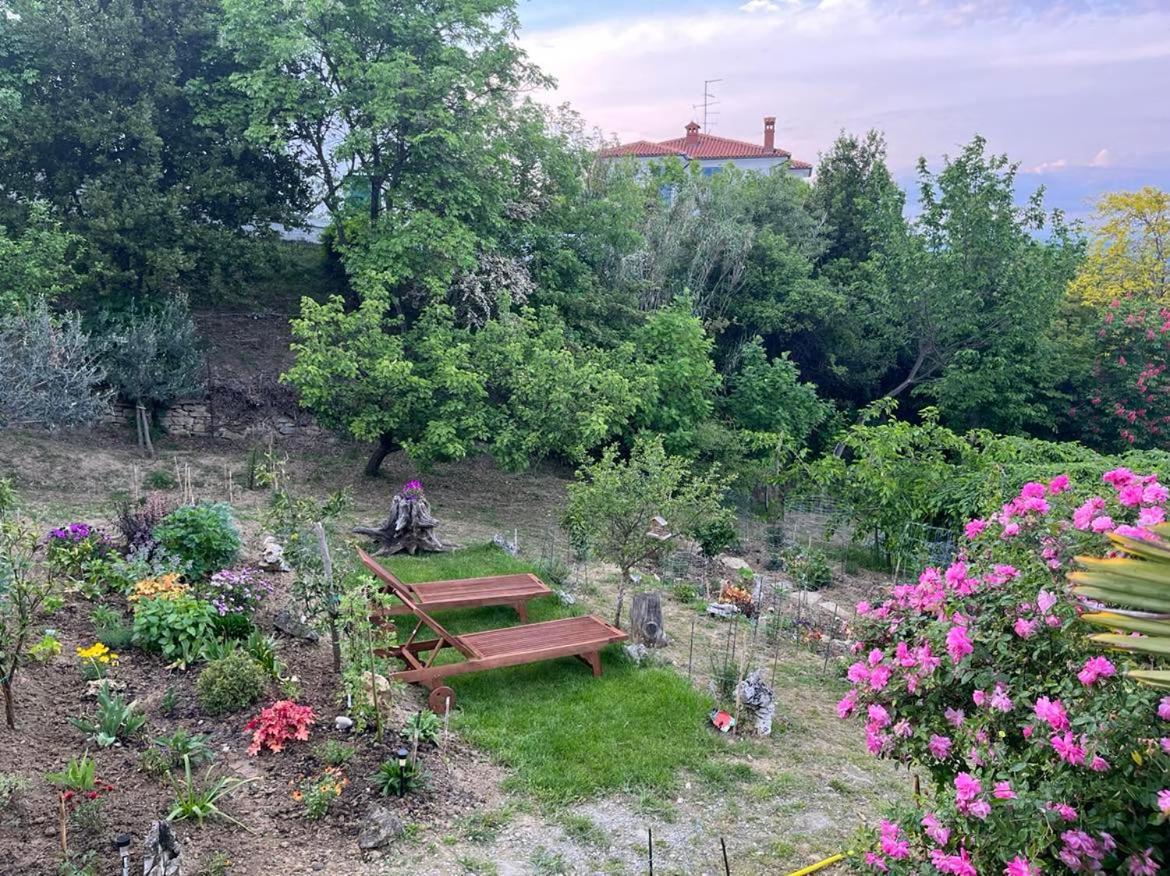 Apartment Vella Копер Екстериор снимка